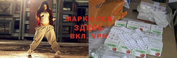 гидра Володарск