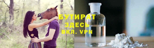 гидра Володарск