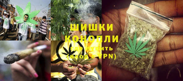 гидра Володарск