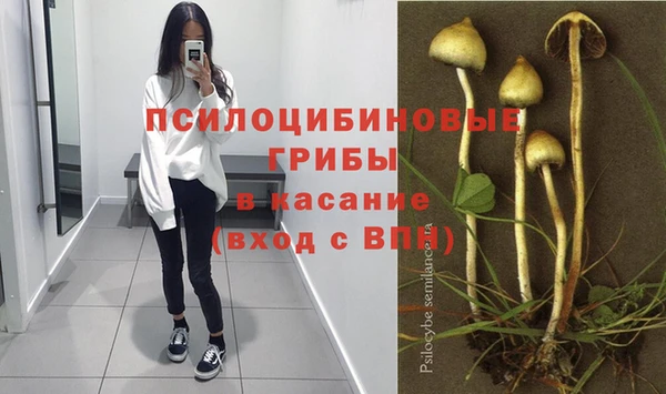 гидра Володарск