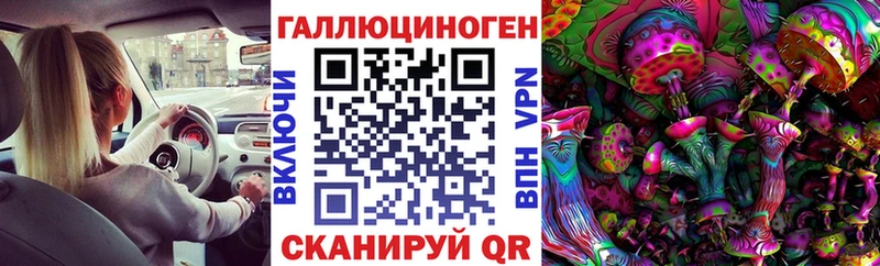 МЕГА ТОР  Калининец  Галлюциногенные грибы Cubensis 